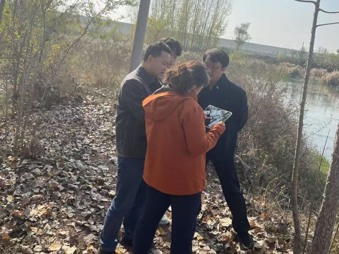 1979555384756404224.jpeg 26084048c2jc.jpeg